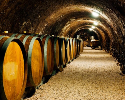 Enoturismo con chofer privado